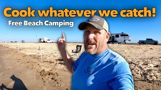 Eating whatever we catch on the beach while camping!