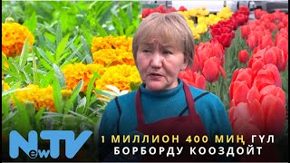 1 миллион 400 миң гүл борборду кооздойт