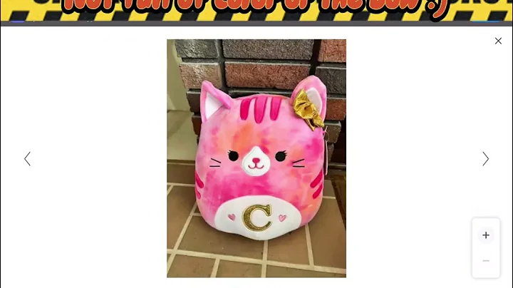 Squishmallows I would never buy (my opinion ) :)