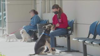 Idaho Humane Society's 'Tour For Life'