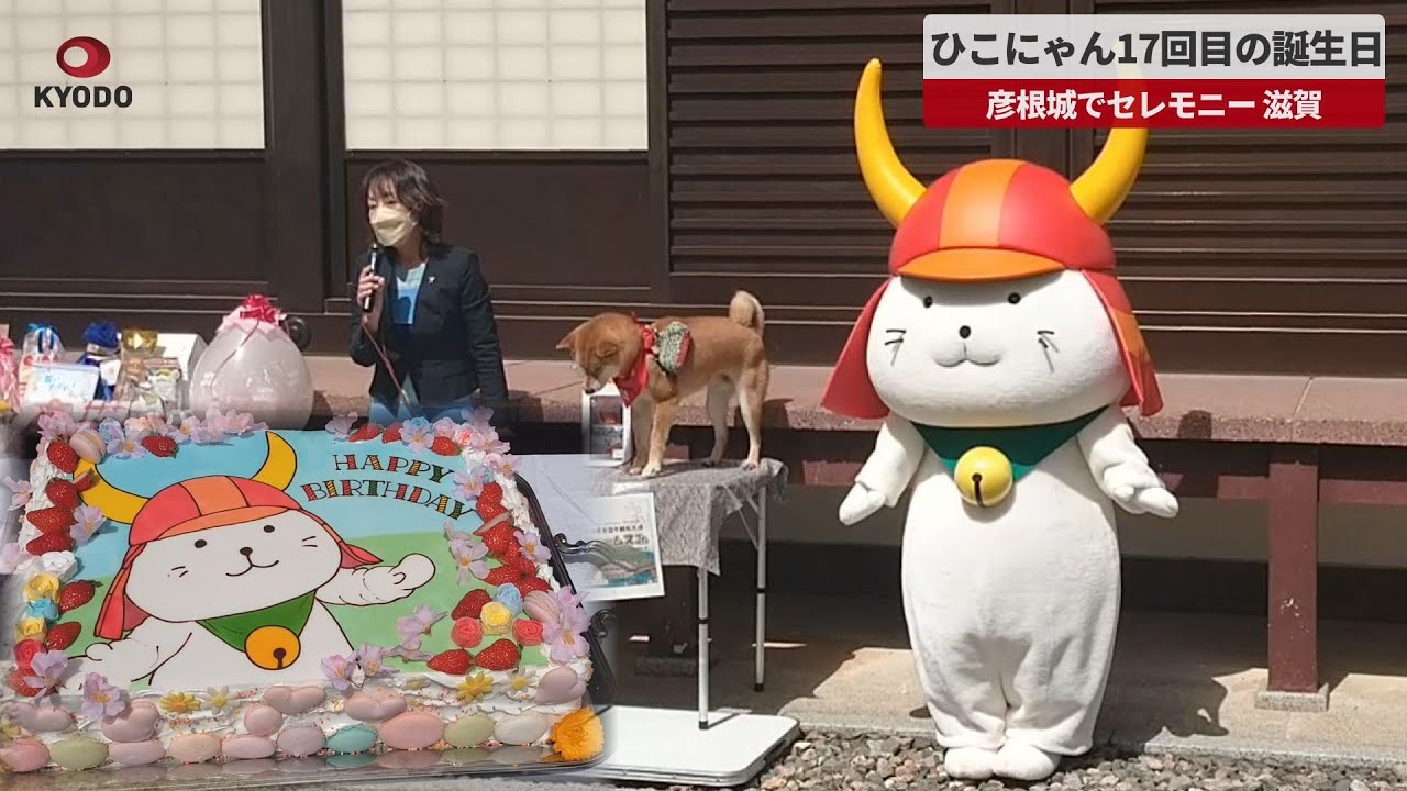 速報】ひこにゃん17回目の誕生日 彦根城でセレモニー 滋賀 - YouTube