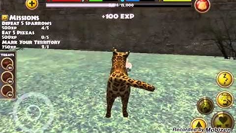 How to get kittens on stray cat simulator