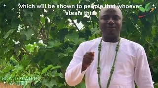 How To Catch A Thief.