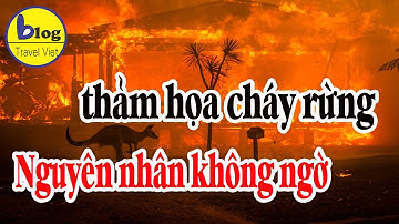 Nguyên nhân thảm họa cháy rừng ở Úc khơi màu từ loạt sấm sét