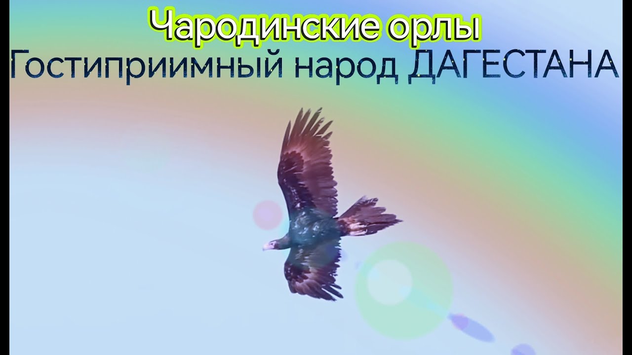 #Великолепный Чародинский район Дагестана. Урух-Сота, Гочоб, Моксоб, Сох и Сачада. Часть1.
