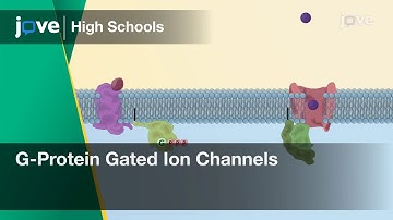 G-Protein Gated Ion Channels | Cell Bio | Video Textbooks - Preview