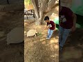 @ Emirates park zoo,Abu Dhabi