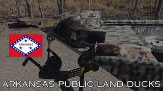 Arkansas Public Land mixed bag. (hole was frozen)