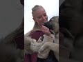 The Norwegian Elkhound Breed History and Cultural Significance #shorts #animallife #fypシ゚viral