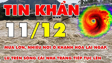 🆘 TIN BÃO KHẨN 11/12: Mưa lớn, nhiều nơi ở Khánh Hòa lại ngập, lũ sông Cái Nha Trang tiếp tục lên