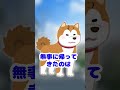 【面白スレ】飼ってる犬が脱走した【ほっこりショート】