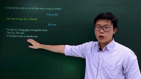 Khoa học tự nhiên lớp 6 - Chân trời sáng tạo - Bài 19: Cơ thể đơn bào và cơ thể đa bào