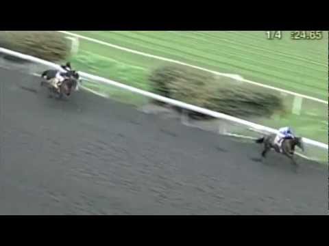 horseshoe bend Road to the Kentucky Derby 1.5.13 Sham Stakes Preview