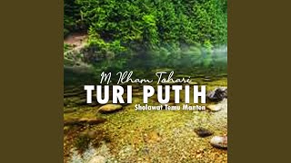 Download Lagu TURI PUTIH (Sholawat Temu Manten)