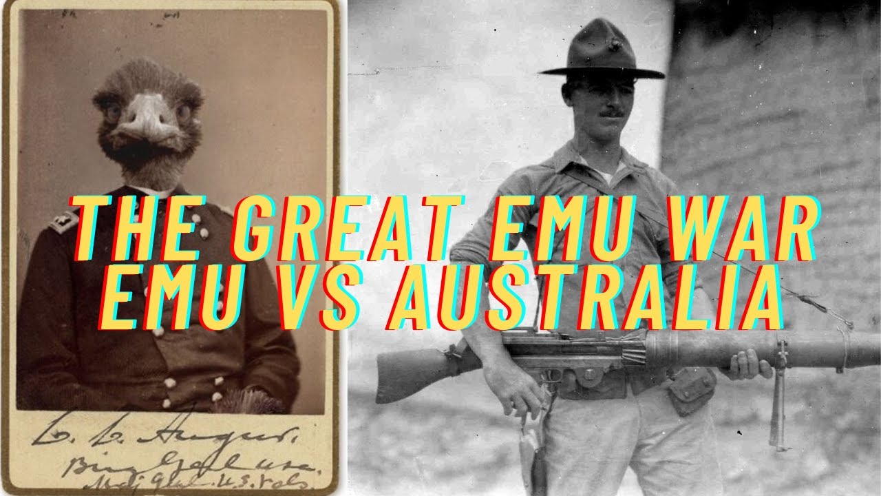 Bizarre History facts -The Great Emu War ! #history - YouTube