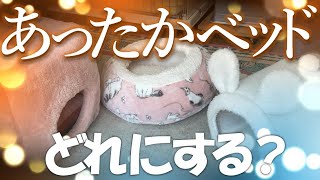 猫のために暖かいベッドを用意しました【保護猫３匹】