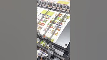 Four Color Leaflet Print