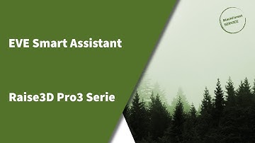 Raise3D Pro3 3D-Drucker - EVE Smart Assistant