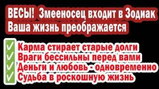 картинка: ВЕСЫ Готовы к Шоку? Змееносец несет НОВУЮ ЖИЗНЬ и Возмездие ВРАГАМ!  ХВАТИТ ТЕРПЕТЬ