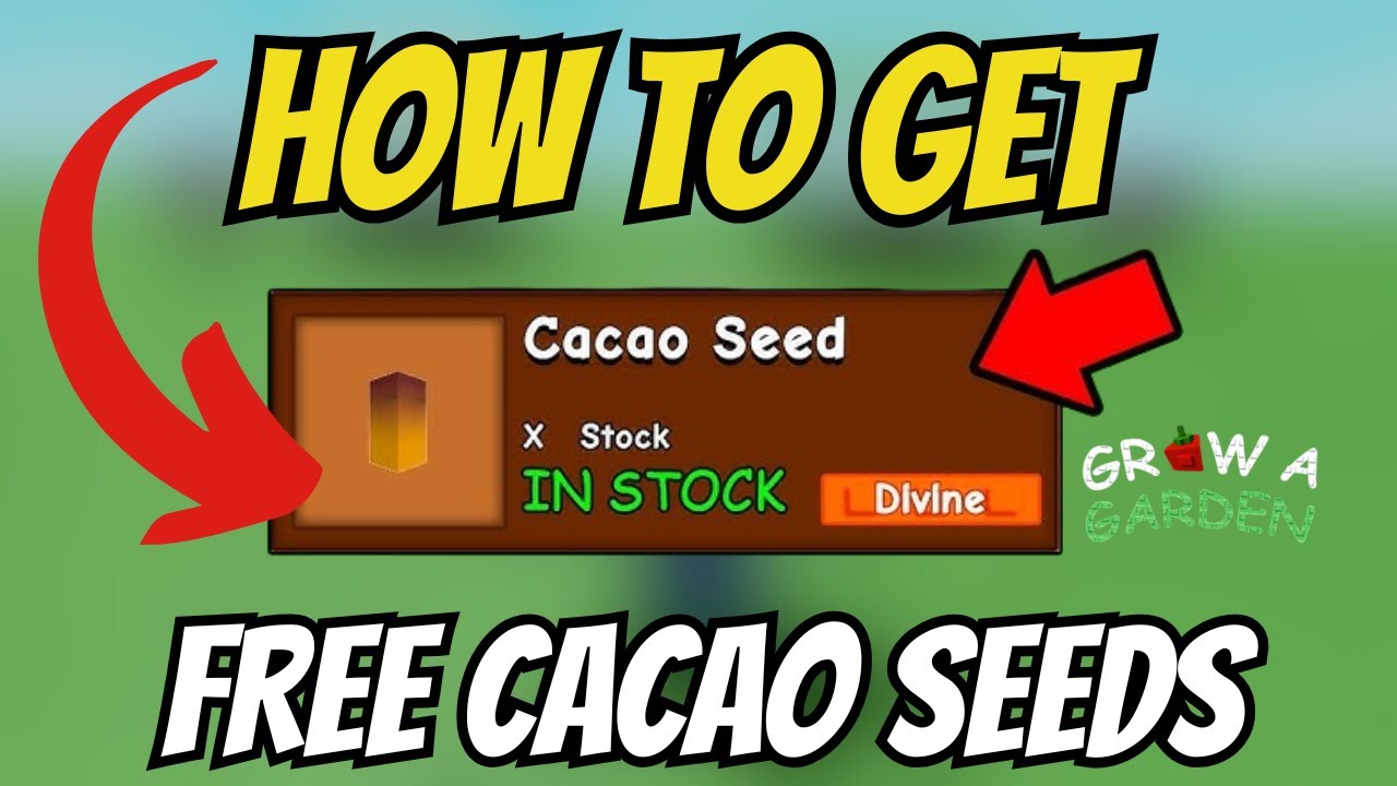 How To GET FREE CACAO SEEDS In Grow A Garden CACAO SHOWCASE Roblox 