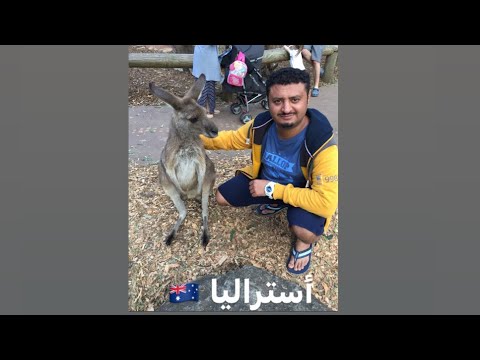  965 أستراليا شرح