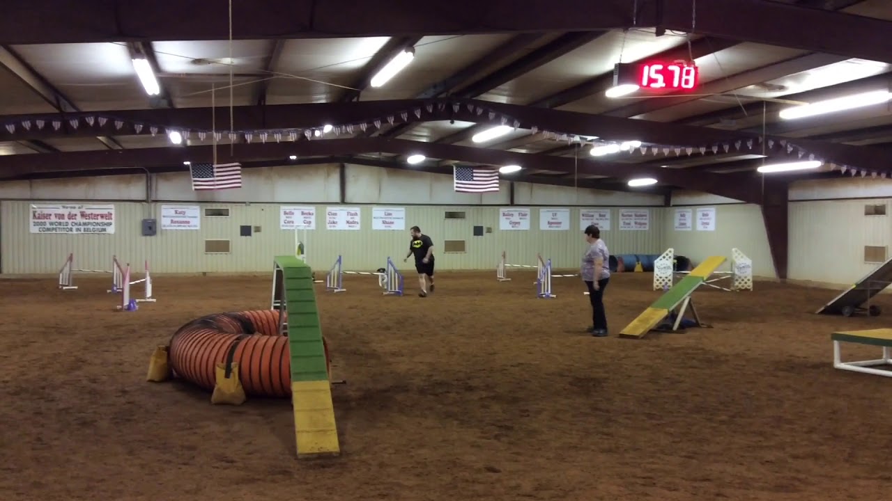 BCKC AKC Agility Trial 9 24 2017 YouTube bckc-akc-agility-trial-9-24-2017-youtube