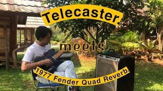 1977 Fender Quad Reverb VS Telecaster | Vintage Amp