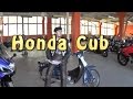 [#Докатились!] Honda Cub. The Best Bike EVER!