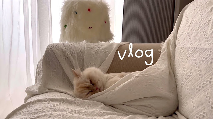 Vlog) 신혼집브이로그 이삿짐정리 새집적응하기 💕 에코체음식물처리기 리뷰 인테리어소품추천 퍼조명 요리일상 도원경 암꽃게 간장게장먹방