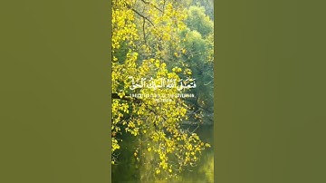 استغفر الله العظيم واتوب اليه. القارئ #اسلام_صبحي، سورة المؤمنون. #القرآن #القرآن_الكريم #quran