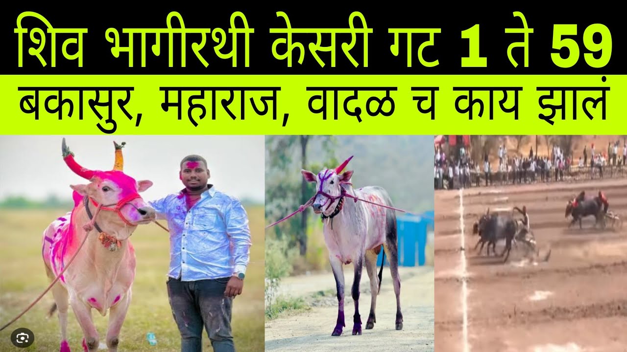 आज शिव भागीरथी केसरी सासवड मैदानात बकासुर, वादळ, महाराज गट पास झाले का 