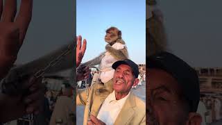 ناري باا كان غدي يعدو حنش