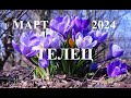 ТЕЛЕЦ. ПРОГНОЗ ОСНОВНЫХ СОБЫТИЙ на  МАРТ 2024 года. Татьяна Шаманова