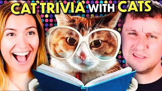 The Ultimate Cat Trivia Gauntlet With Cats!