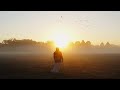 STORY ELEVEN: Early misty mornings in the autumn
