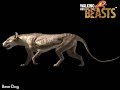 TRILOGY OF LIFE - Walking with Beasts - "Bear-Dog" (Cynodictis elegans)