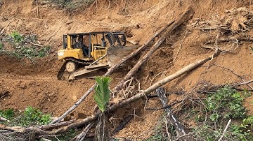 The Process of Forming a Palm Terrace on a Mountainside with a D6R XL Bulldozer