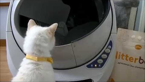 Litter Robot III Open Air Unboxing Video