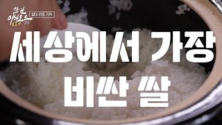 [한일 미식(米食)로드 2부] 세상에서 가장 비싼 쌀