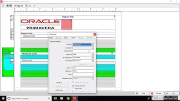 Customization of Primavera P6 Report (Advanced)