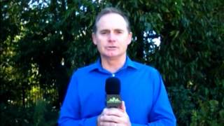 Agent Calculator: A Must-Have App For Agents screenshot 5