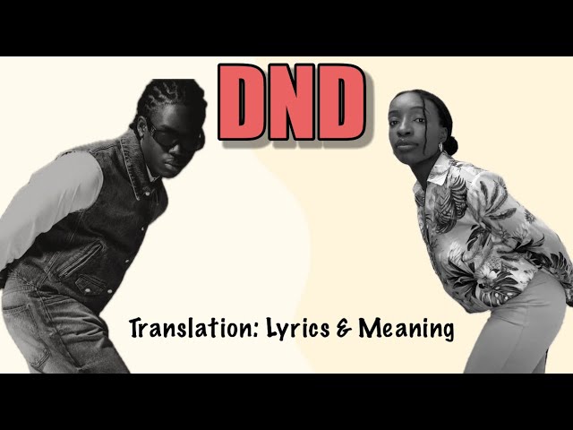 Rema - DND (Afrobeats Translation: Lyrics and Meaning) class=