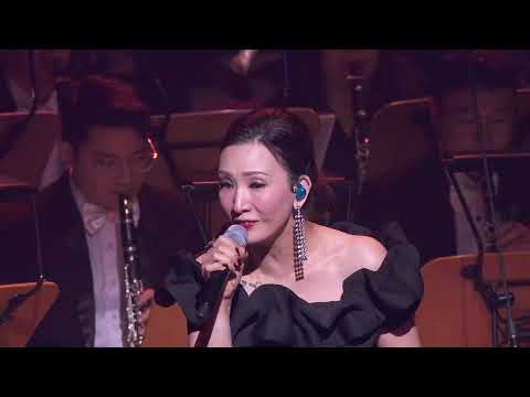陈雪燃 - 似是故来人