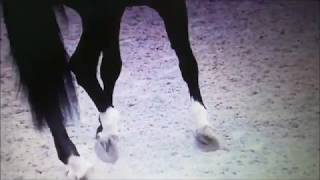 Dressage Cup- Cavaliada Lublin 2018 r. Music video