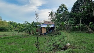 Getting ready for rainy season - flooring my dirty kitchen and prepare simple kakanen 'NINYOGAN '