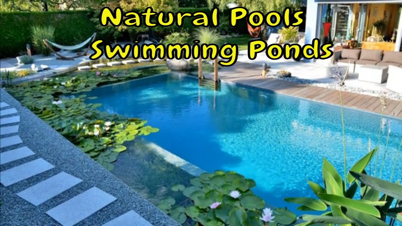 Natural Pools Natural Swimming Ponds Design ideas Incredible