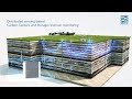 Distributed sensing-based carbon capture and storage reservoir monitoring