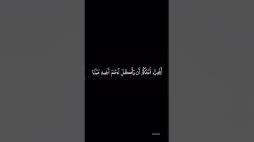 تلاوه من سورة الحجرات القارئ محمد اللحيدان