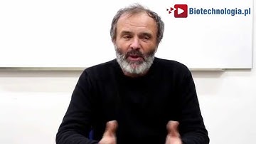 What is biocatalysis? - prof. Kurt Faber