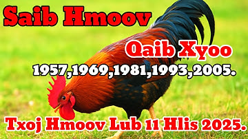 SaibHmoov: Qaib Xyoo Txoj Koob Hmoov Lub 11 Hlis Xyoo 2025 Seb Yuav Zoo Li Cas?